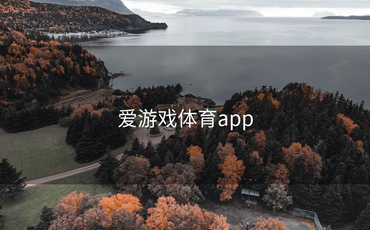 爱游戏体育app