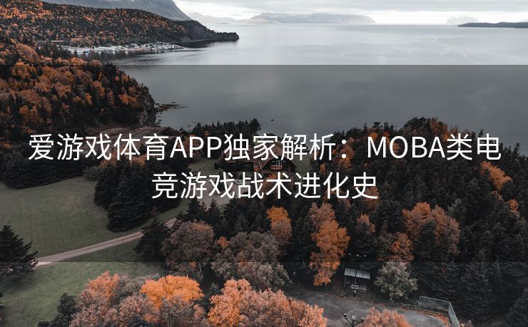 爱游戏体育APP独家解析：MOBA类电竞游戏战术进化史