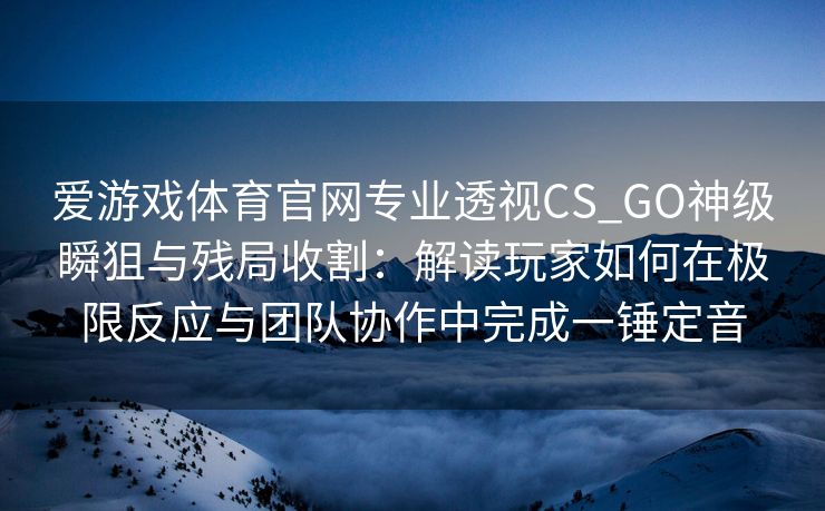 爱游戏体育官网专业透视CS_GO神级瞬狙与残局收割：解读玩家如何在极限反应与团队协作中完成一锤定音