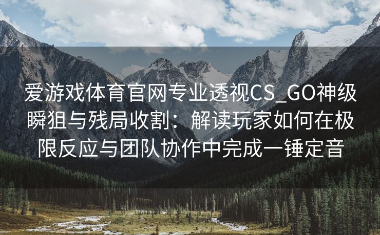 爱游戏体育官网专业透视CS_GO神级瞬狙与残局收割：解读玩家如何在极限反应与团队协作中完成一锤定音