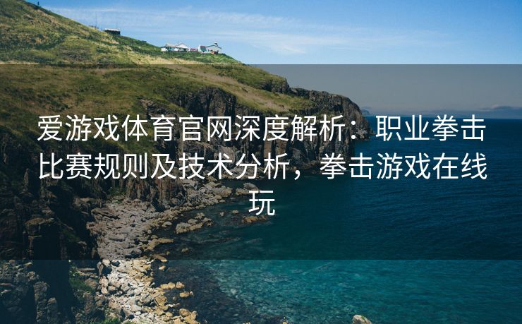 爱游戏体育官网深度解析：职业拳击比赛规则及技术分析，拳击游戏在线玩