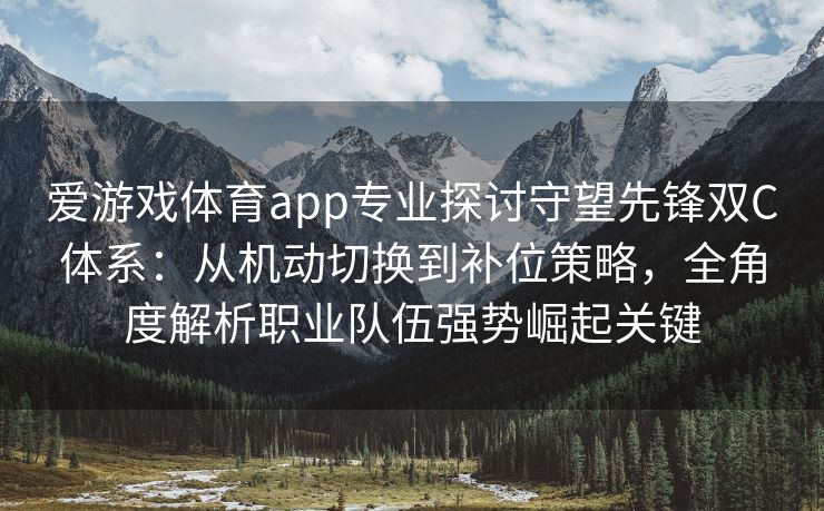 爱游戏体育app专业探讨守望先锋双C体系：从机动切换到补位策略，全角度解析职业队伍强势崛起关键