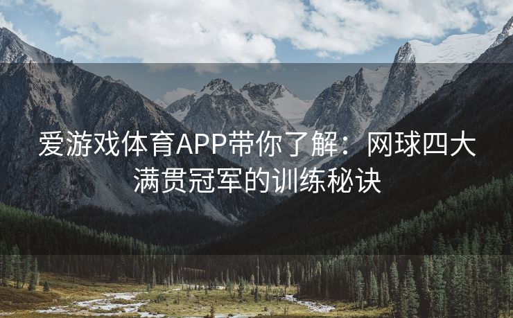 爱游戏体育APP带你了解：网球四大满贯冠军的训练秘诀