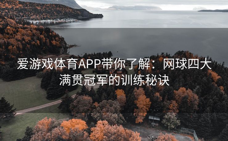 爱游戏体育APP带你了解：网球四大满贯冠军的训练秘诀